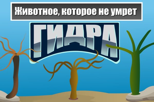 Kraken оригинальная ссылка