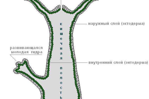 Кракен сайт закладок