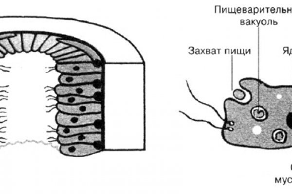 Кракен ссылки тор рабочая