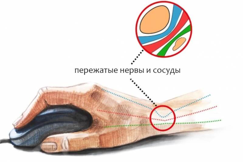 Официальный сайт kraken kraken clear com